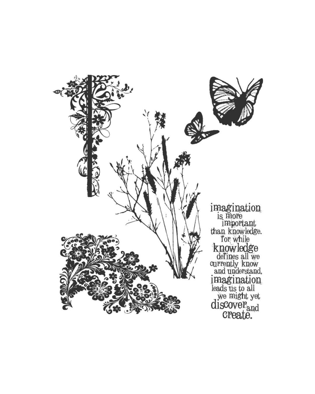 Nature's Discovery leimasinsetti CMS049