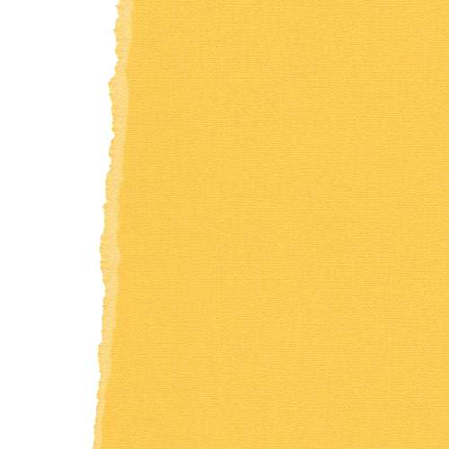 Light Gold 12", 216g