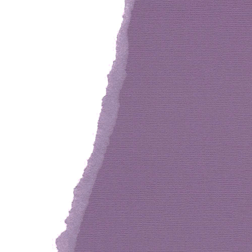 Aubergine 12", 216g