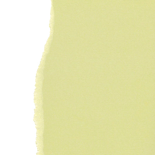 Warm Beige 12", 216g