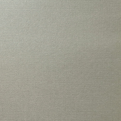 Pearl Beige-Grey 12", 216g