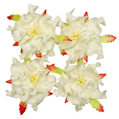 Gardenia 5cm, valkoinen