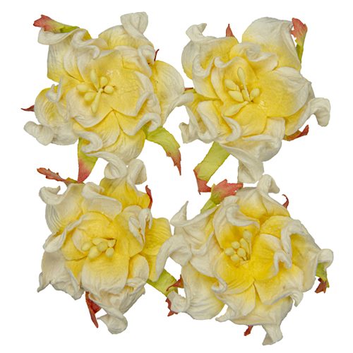 Gardenia 5cm, valkoinen-keltainen