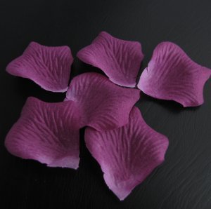 Ruusun terälehdet tumma violetti