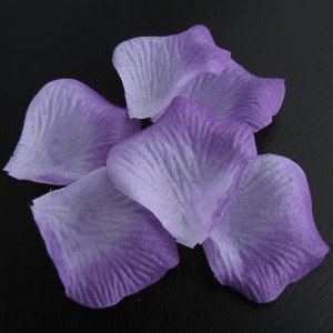 Ruusun terälehdet,  vaalea violetti