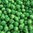 Wooden beads, green 6mm, 100 pcs