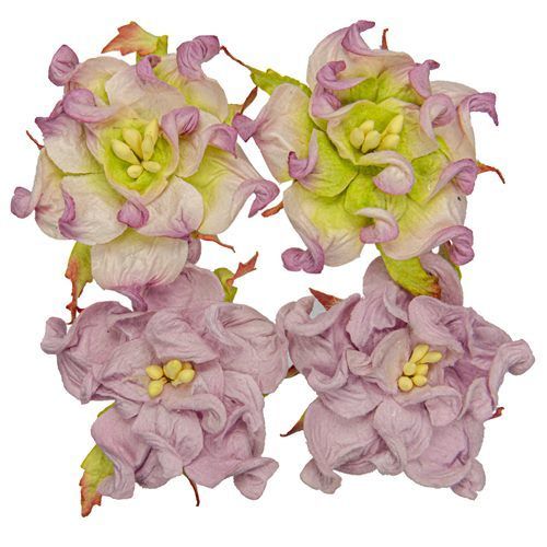 Gardenia 5cm, violetti/ purppura-valkoinen-vihreä