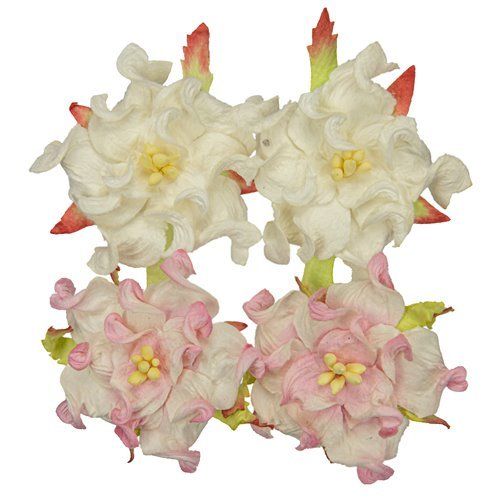 Gardenia 5cm, valkoinen/ pinkki-valkoinen