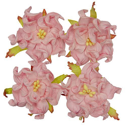 Gardenia 5cm, vaaleanpunainen