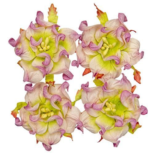 Gardenia 5cm, lila-valko-vihreä