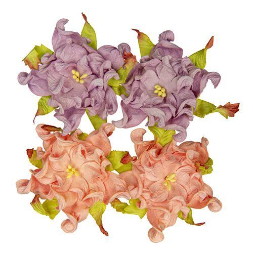 Gardenia 7cm, lohenpunainen / violetti