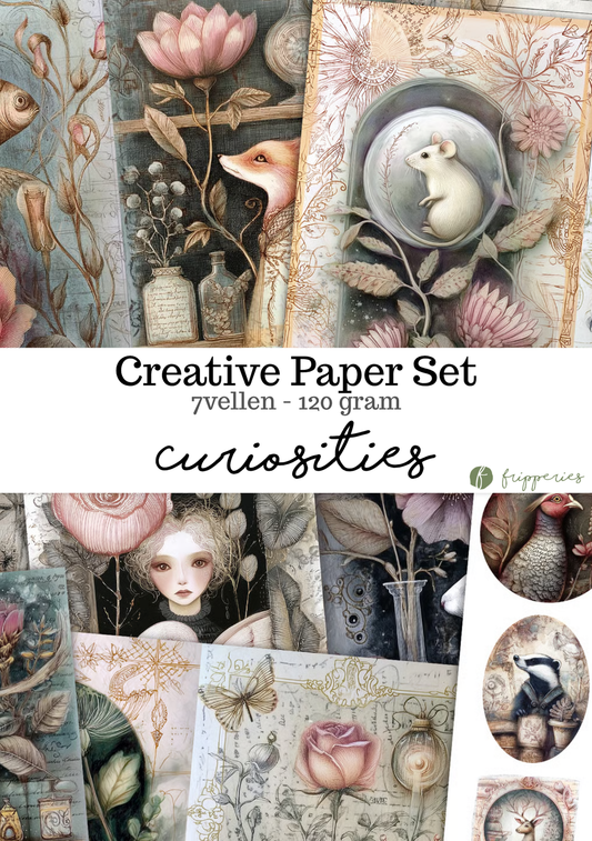 Curiosities Creative Paper Set