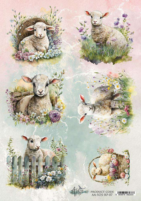 Riisipaperi Soul of Spring 7