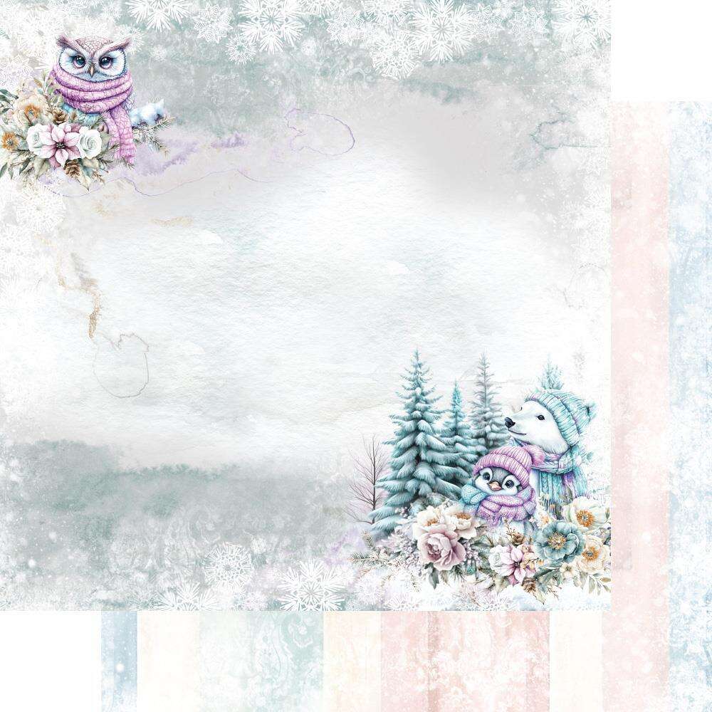 Magic of the Northern Lights 6" paperipakkaus