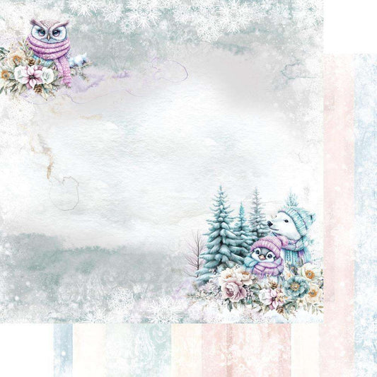Magic of the Northern Lights 6" paperipakkaus