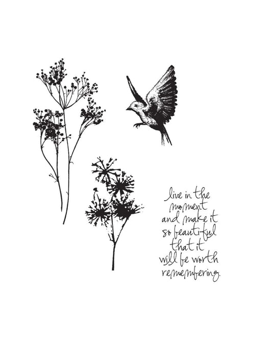 Nature's Moments leimasinsetti CMS001