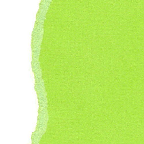 Light Green 12", 216g