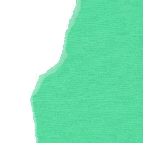 Mint 12", 216g