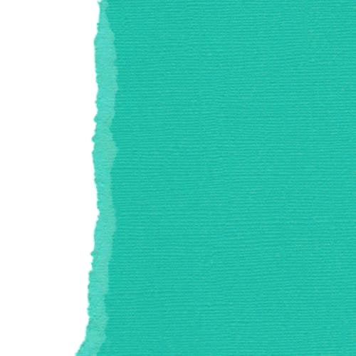 Turquise 12", 216g