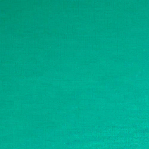 Ocean Green 12", 216g