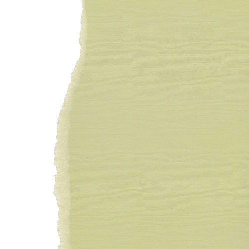 Light Olive 12", 216g