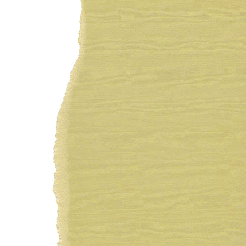 Beige 12", 216g