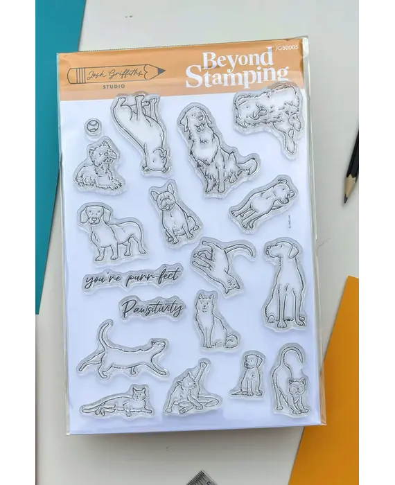 Pawsitivity leimasinsetti