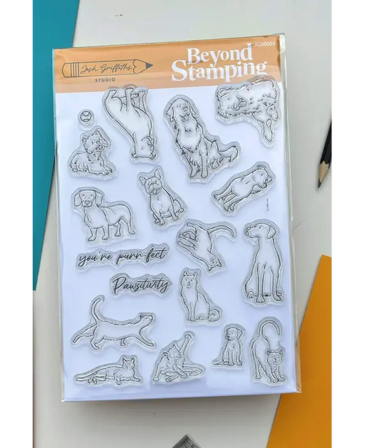Pawsitivity leimasinsetti