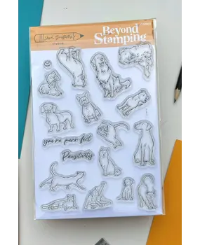 Pawsitivity leimasinsetti