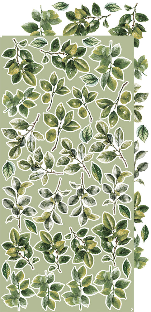 Creative  extras set 8, Leaves 2