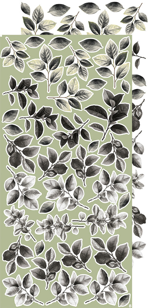 Creative  extras set 8, Leaves 2