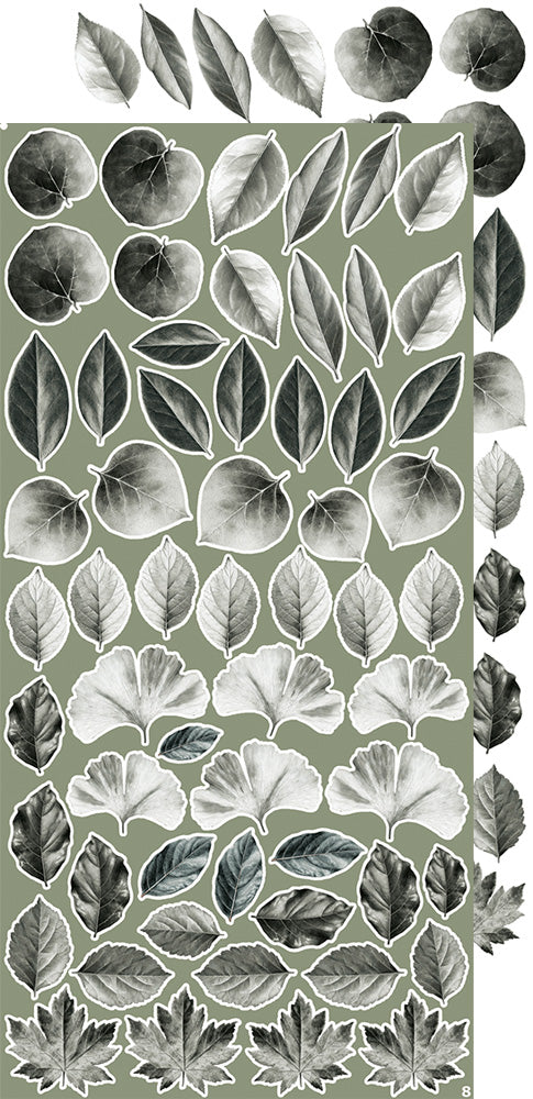 Creative  extras set 07, Leaves 1