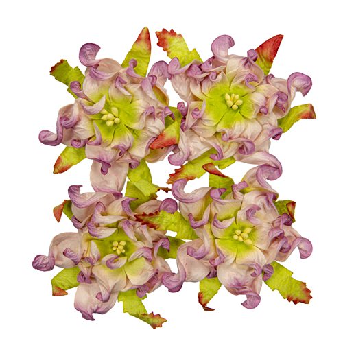 Gardenia 7cm, lila-valkoinen-vihreä