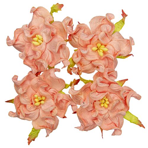 Gardenia 5cm, lohenpunainen
