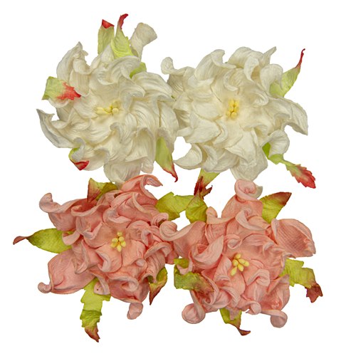 Gardenia 7cm, lohenpunainen / valkoinen