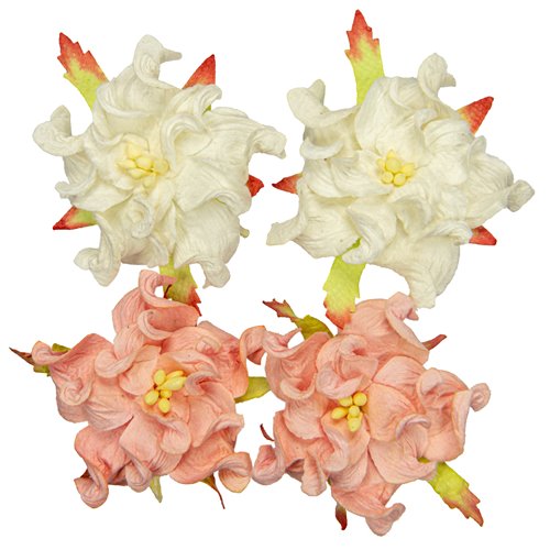 Gardenia 5cm, valkoinen/ lohenpunainen
