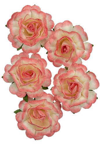 Juhlaruusu, 3,8cm, valko-ruusu