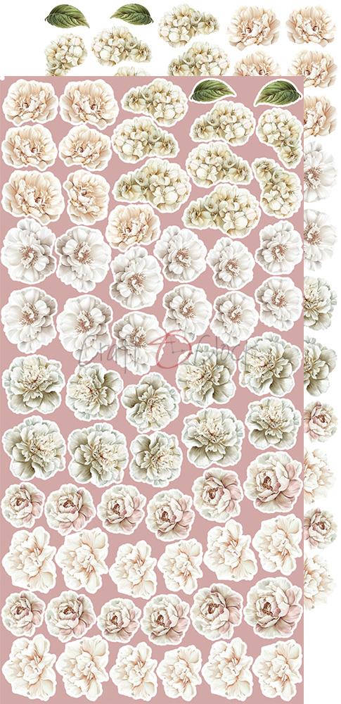Extras to cut set, Mix, Rose Emotions