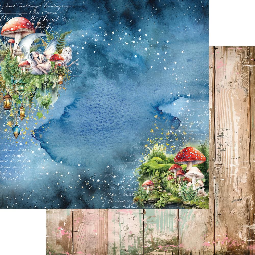 The World of Fairies 12" paperipakkaus